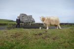 PICTURES/Heimaey Island Critters/t_DSC01177.JPG